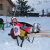 Fasnacht 2012