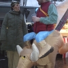 Bierelüta 2013