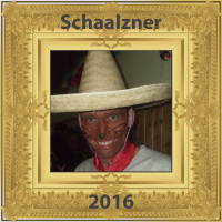 Schaalzner 2016